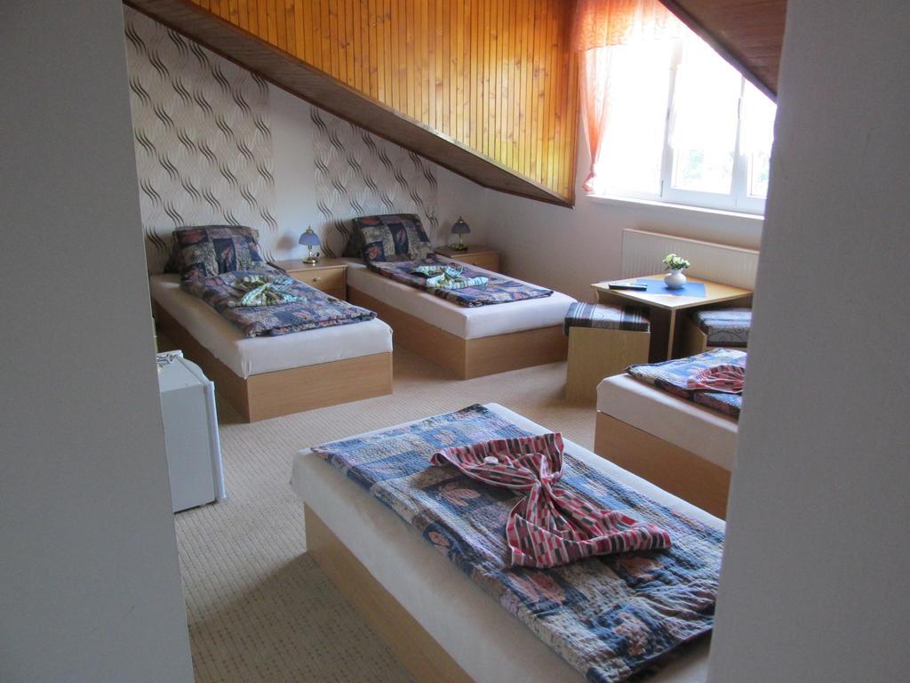 Pension U Vlasku Карловы Вары Номер фото