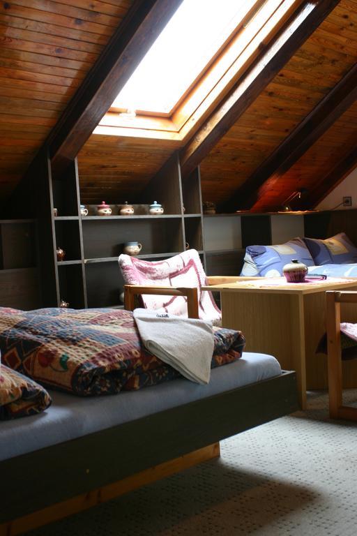 Pension U Vlasku Карловы Вары Номер фото