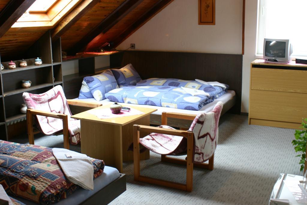 Pension U Vlasku Карловы Вары Номер фото