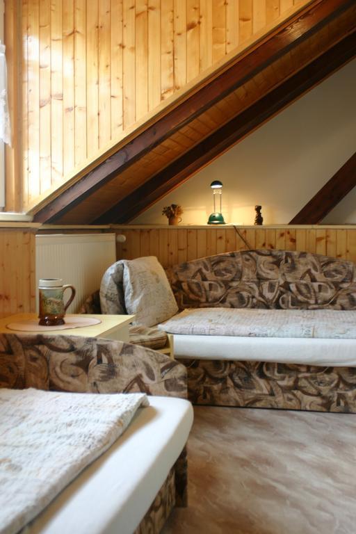 Pension U Vlasku Карловы Вары Номер фото